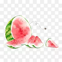 西瓜水彩画插图-一个大西瓜