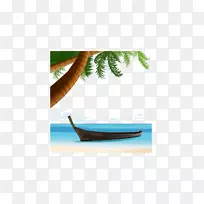 海滩椰子-椰子树海岸