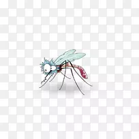 蚊虫图-有趣的蚊子