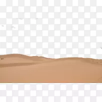 沙化沙漠