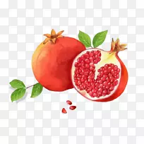 石榴红土坯插画红石榴