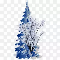 云杉圣诞树-蓝色雪树