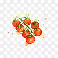 果汁樱桃番茄水彩画蔬菜插图手绘番茄
