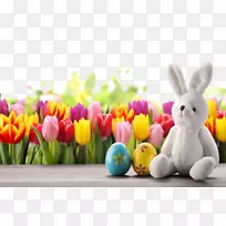 复活节兔子彩蛋郁金香壁纸-可爱复活节彩蛋总部图片