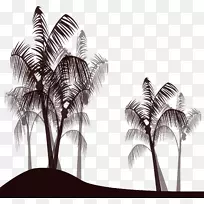 槟榔科黑白棕榈树