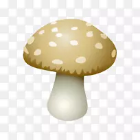 食用菌香菇剪贴画-蘑菇、真菌
