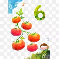 水彩画卡通插图-六个西红柿