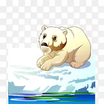 北极熊棕熊北极剪贴画卡通北极熊