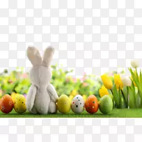 复活节兔子彩蛋-美丽的复活节彩蛋