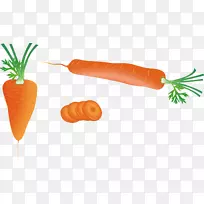 胡萝卜下载蔬菜-载体胡萝卜