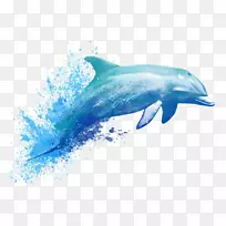 水彩画海豚纹身水彩画海豚