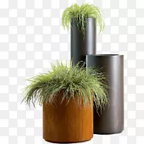 花盆德卡斯特里花瓶花盒植物-绿色植物盆栽免费PNG