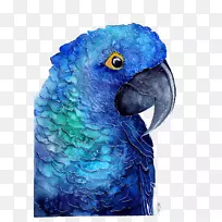 鹦鹉海报水彩画-蓝色鹦鹉