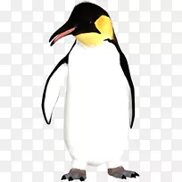 企鹅王图标-企鹅
