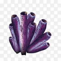 紫色图标-紫色珊瑚