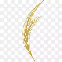 Adobe插画-金色小麦