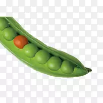 雪豌豆蔬菜片豌豆原料-创意豌豆绿橙