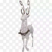 驯鹿鹿角插图-相当有创意的鹿