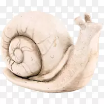 蜗牛正交圈模型-蜗牛模型装饰