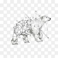 菲律宾北极熊简略故事：克比·罗森斯的素描本艺术-北极熊