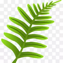 叶植物茎-绿草