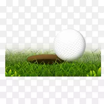 高尔夫球杆洞-现实高尔夫球洞