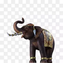 印度象非洲象野生动物大象