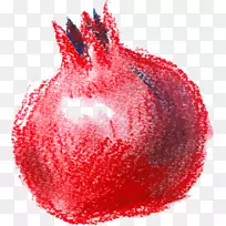 石榴水彩画.手绘红色石榴