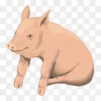 家猪烤肉艺术-卡通猪