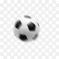足球黑图片字典安卓-白色足球