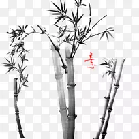 下载元素，香港竹子谷歌图片-免费下载竹子