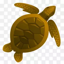 海龟水生动物绘图-卡通海龟