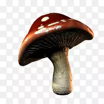 蘑菇下载剪辑艺术-蘑菇图案