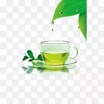 绿茶咖啡厅图标-新鲜绿茶