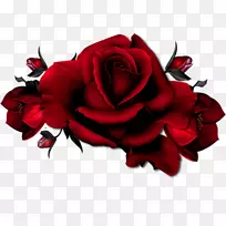 玫瑰红色剪贴画-一朵红玫瑰