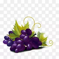 紫葡萄颜色图-紫色葡萄