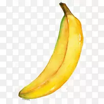 水彩画香蕉画插图-香蕉