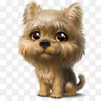 约克郡小猎犬苏格兰小狗t恤画-可爱的小狗宠物