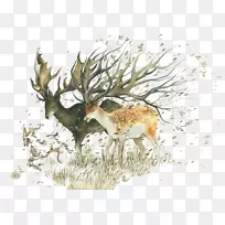 水彩画画家绘画插画-卡通森林鹿