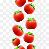 李子番茄灌木番茄红番茄
