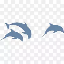 海豚轮廓