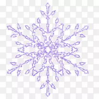紫色雪花紫罗兰-雪花装饰