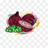 Adobe插画-洋葱卷心菜