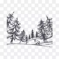 绘树林区-手绘冬季森林素描