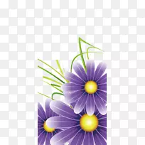 紫色可爱的婚礼-紫色菊花