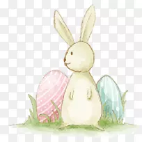 复活节兔-黄兔