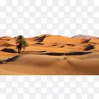 索苏斯韦利比亚沙漠沙丘景观-美丽的沙漠景观