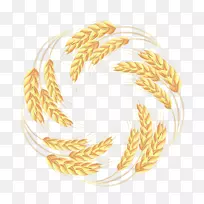 小麦穗全麦粮-小麦