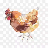 烤鸡柠檬鸡水彩画插图-鸡肉