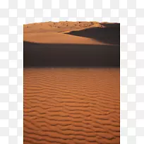 木地板染色漆硬木-沙漠